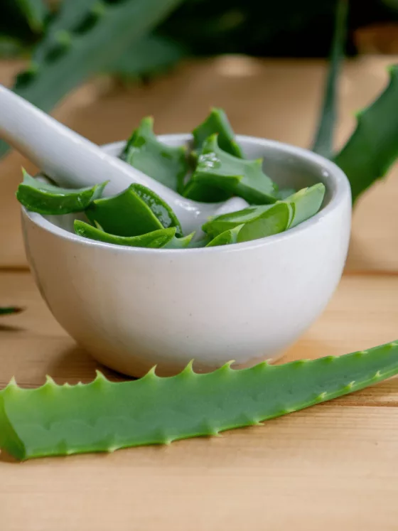 15 plantes médicinales à cultiver dans son jardin