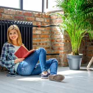 Guide des plantes automnales à planter chez soi