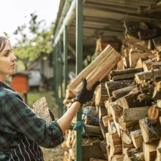 Idées de plantes dépolluantes d’intérieur : améliorez votre air et votre déco !