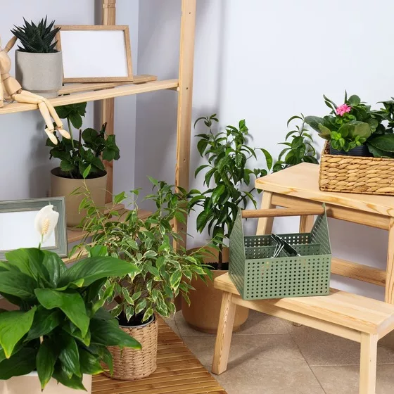 10 idées pour intégrer des plantes dans votre décoration intérieure